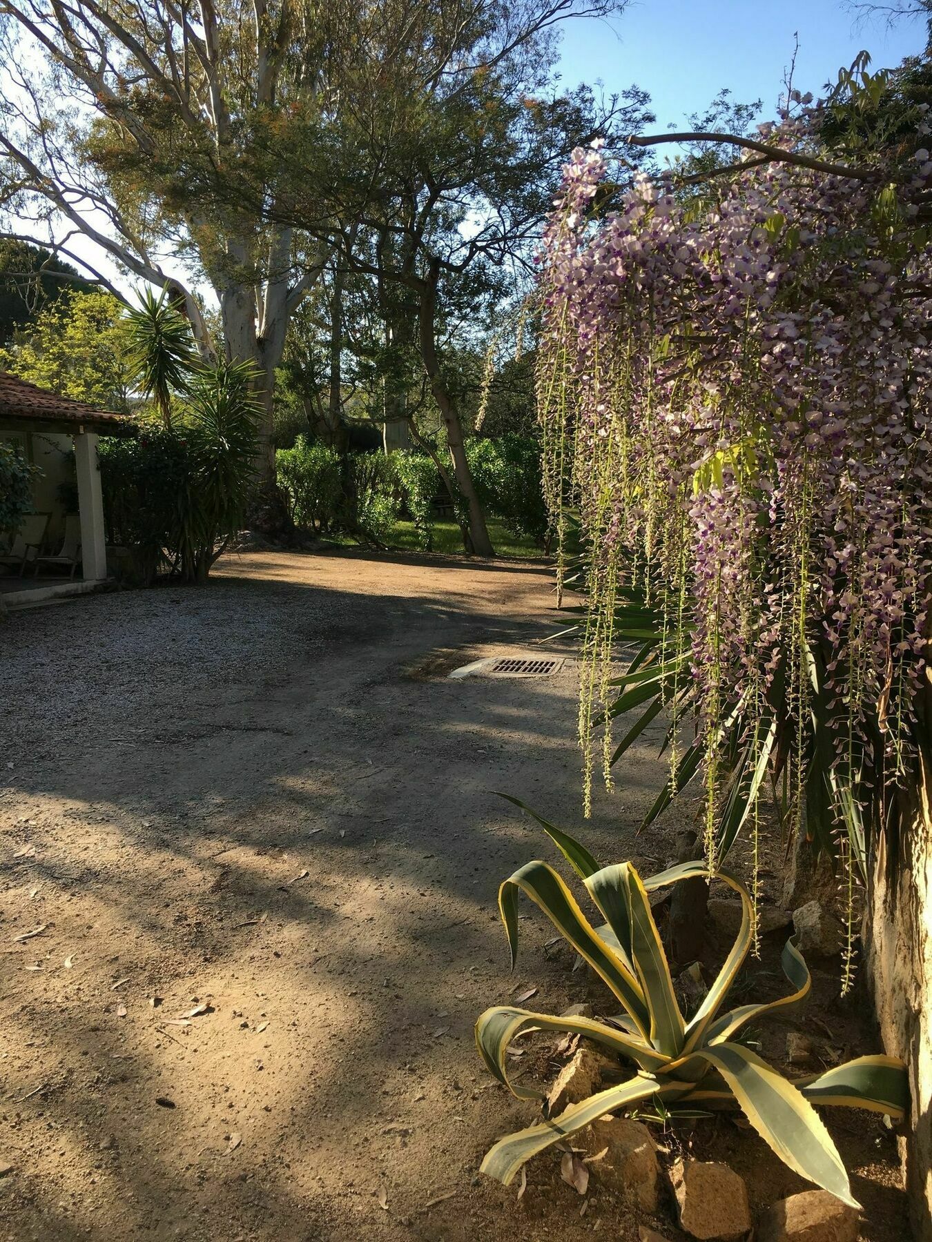 Camping La Cle Des Champs Calvi  Zewnętrze zdjęcie